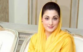 hamza-shehbaz