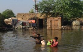 Death toll reaches 1,186PDMA