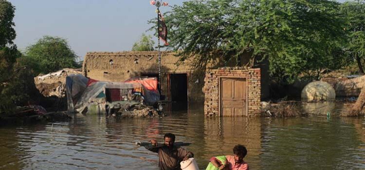 Death toll reaches 1,186PDMA