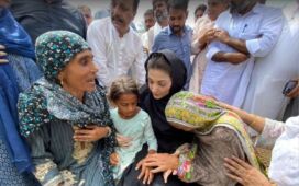 Punjab reduces Maryam Nawaz's security