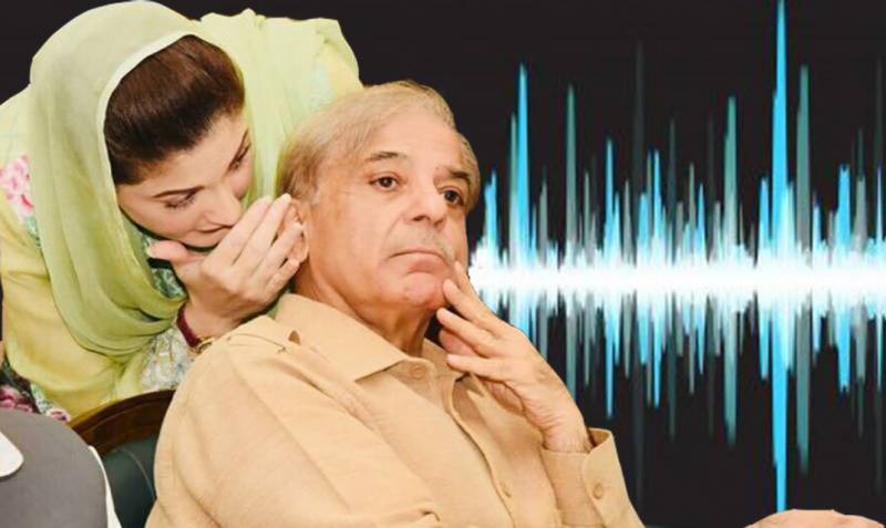 PM-Shehbaz