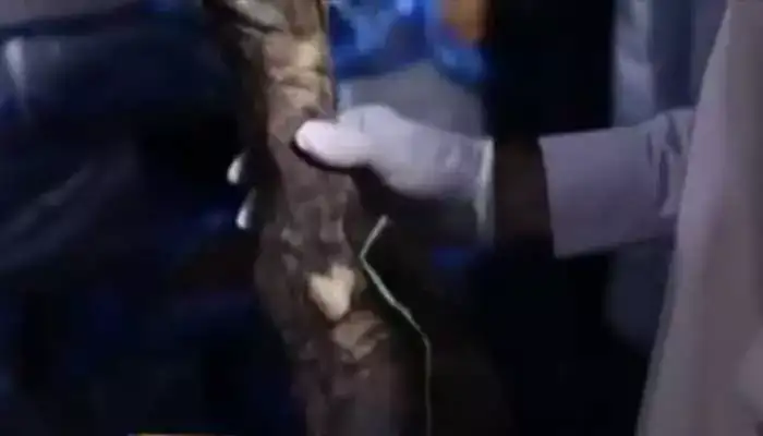 meat