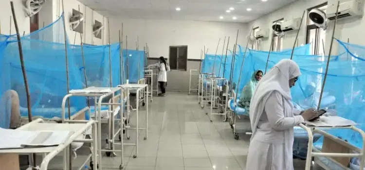 Hospitals in Pindi continue to receive dengue patients