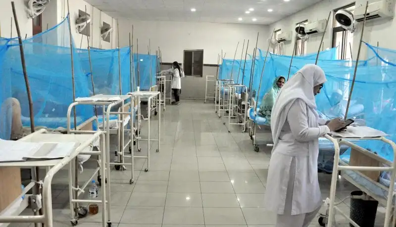 Hospitals in Pindi continue to receive dengue patients